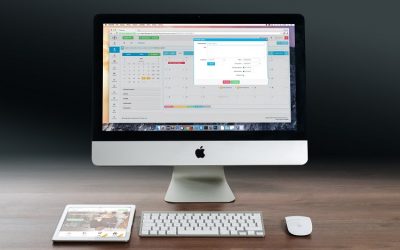 Do You Need a Web App for Your Small Business?
